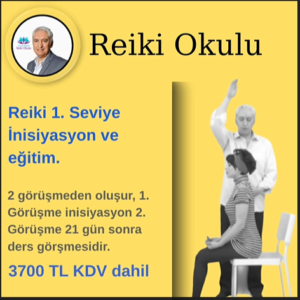3-) Reiki 1. Seviye İnisiyasyon ve Eğitimi (Bireysel)